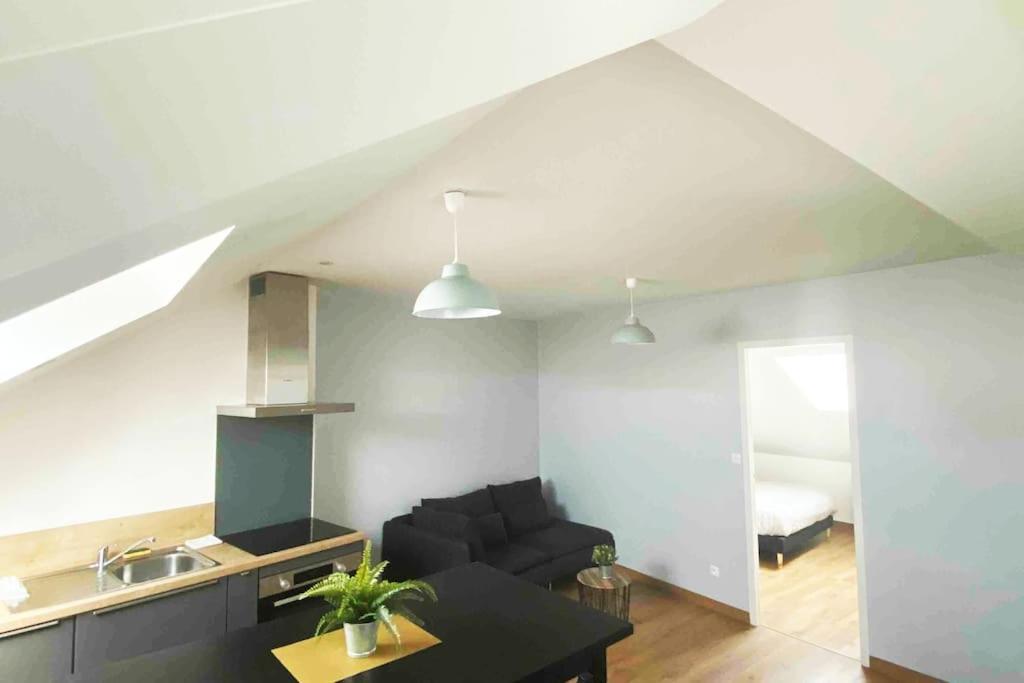 אורליאן Superbe Appartement En Coeur De Ville מראה חיצוני תמונה